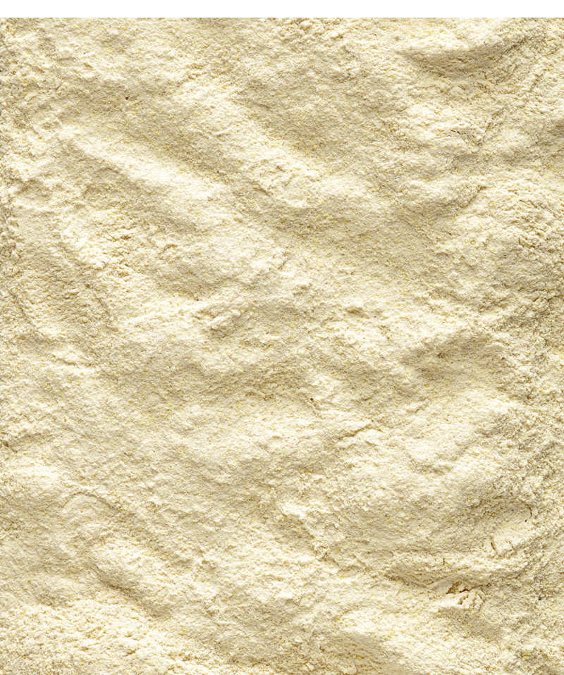 A21 - Hand rearing food for amazons, cockatoos, large parakeets and other baby birds with a high protein requirement - 3kg