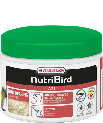 A21 - Hand rearing food for amazons, cockatoos, large parakeets and other baby birds with a high protein requirement - 3kg