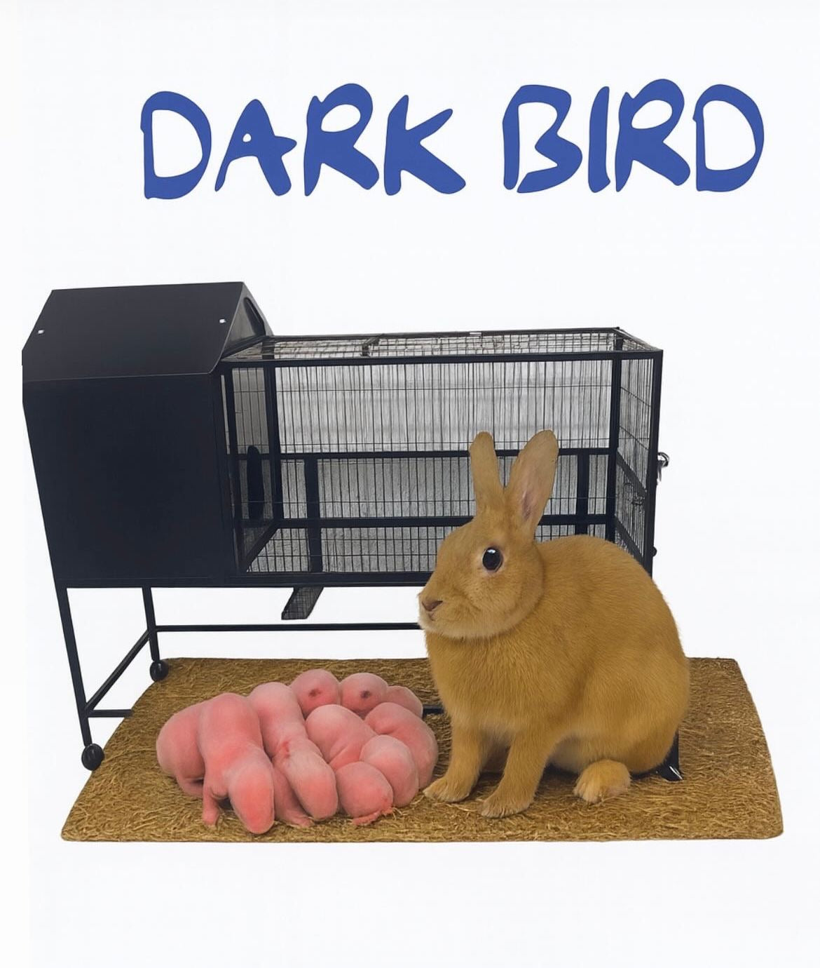 Rabbit cage