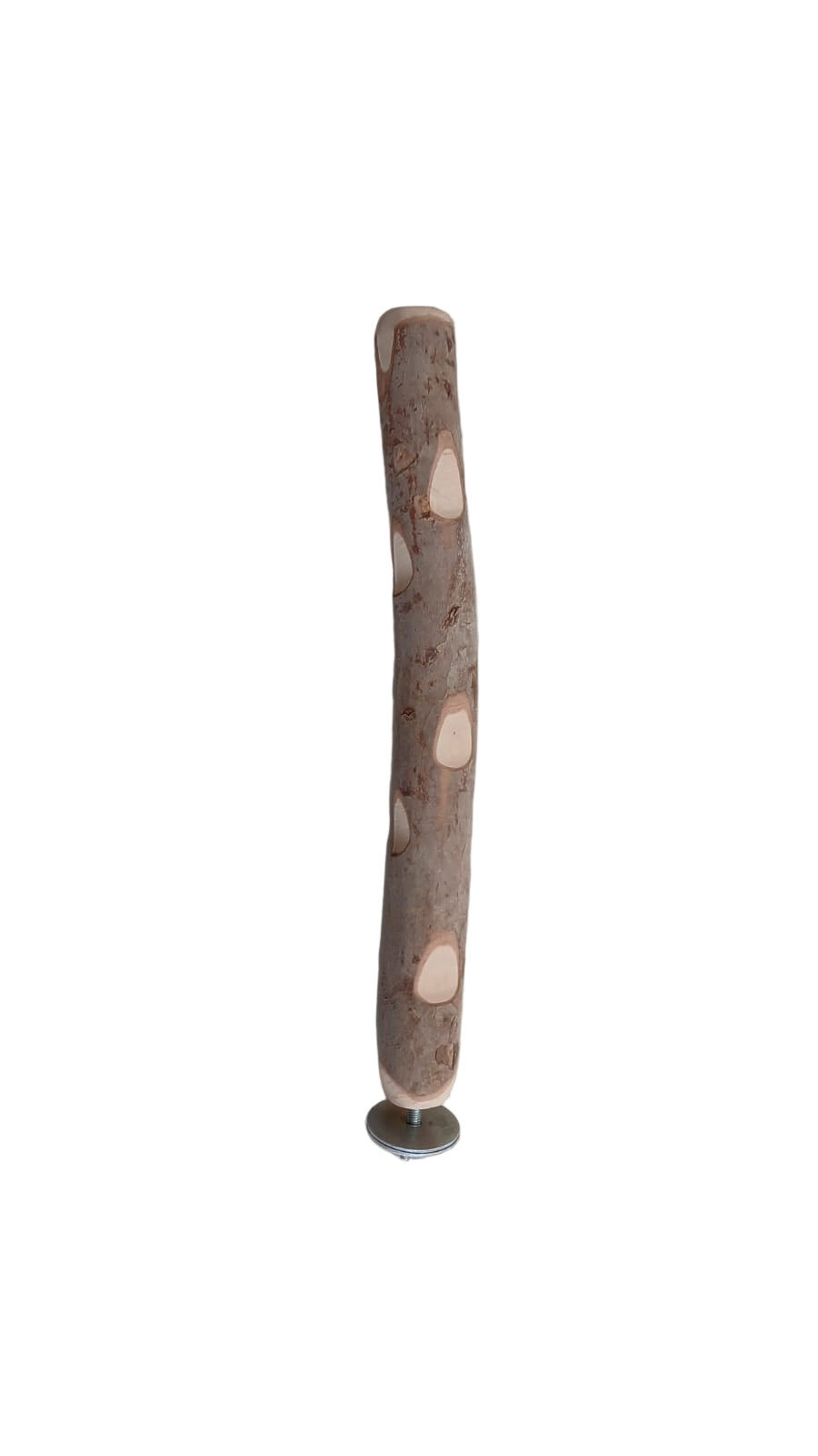 Guava Wood Stick 30 cm