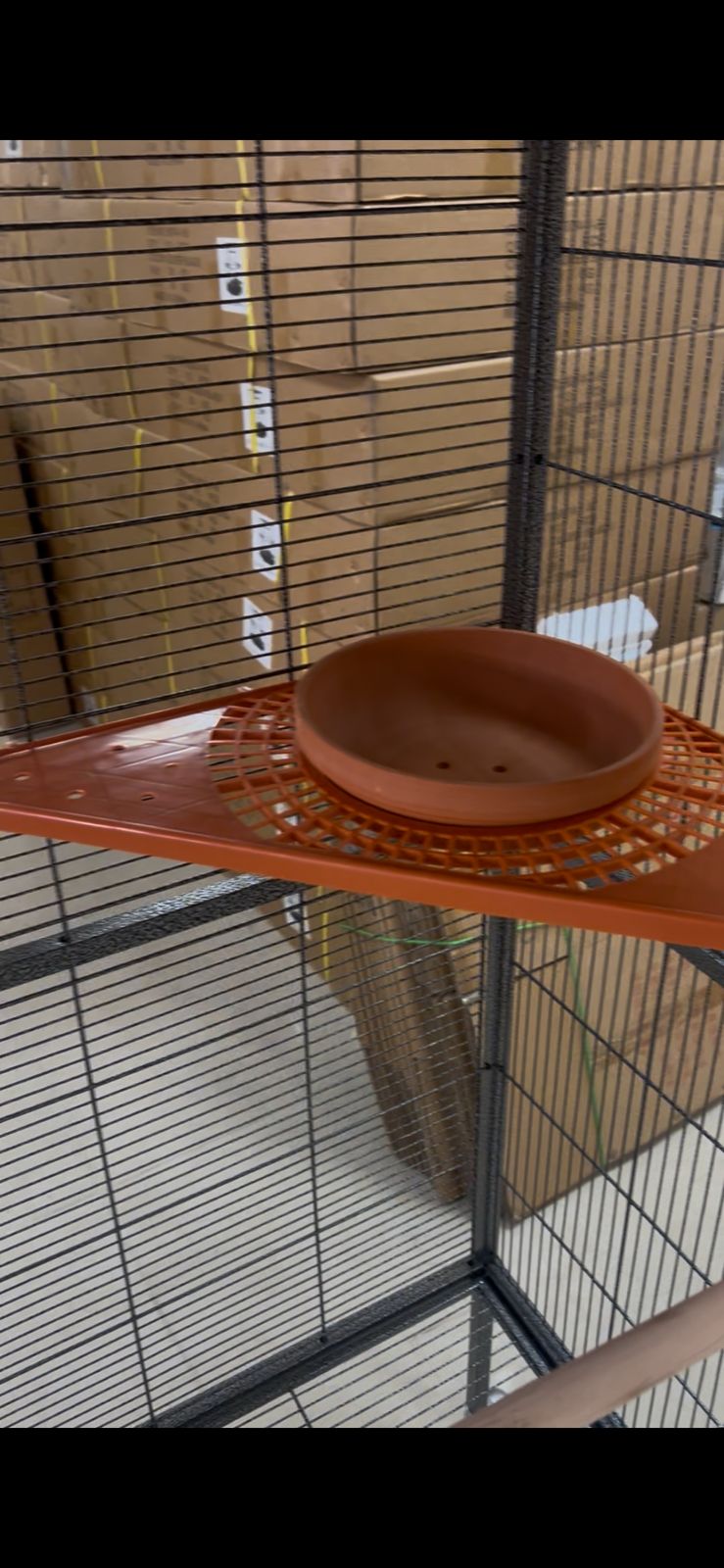Corner shelf and stand for pottery, designed for pigeons and doves