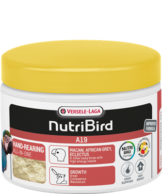 A19 - Hand-rearing food for macaws, African greys, eclectus parrots and other baby birds with a high energy requirement - 3kg