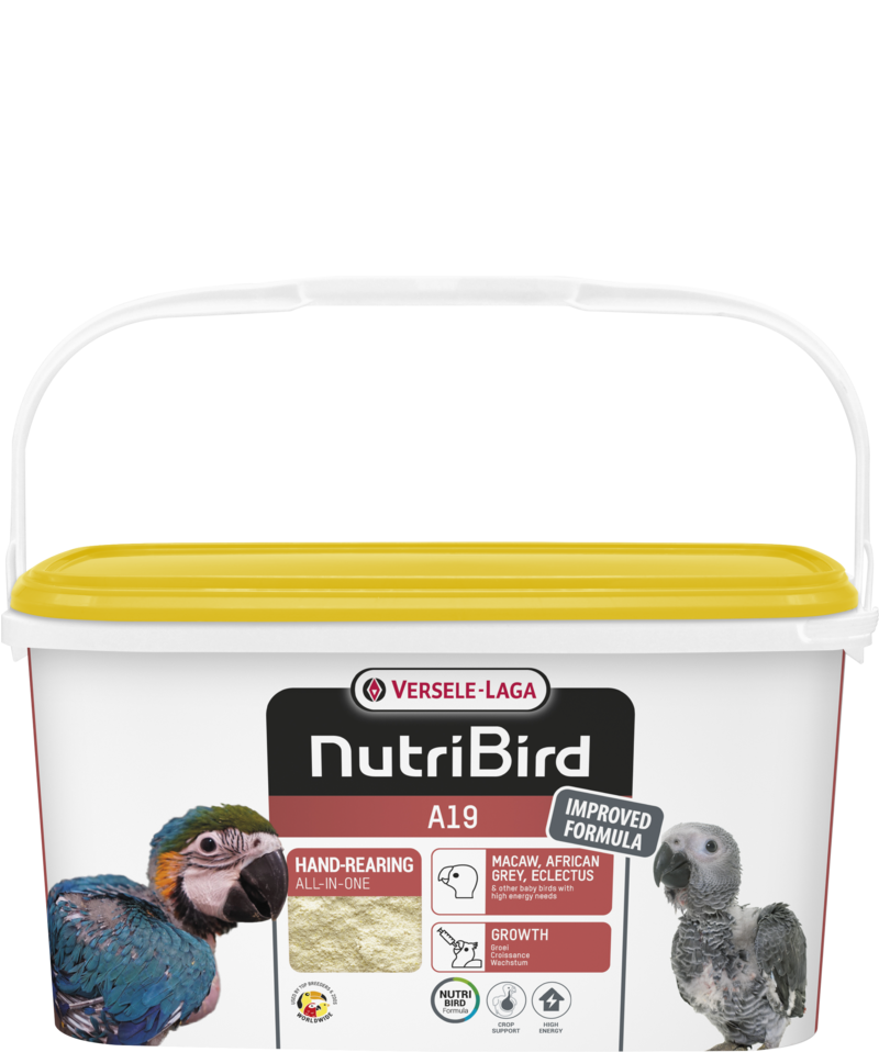 A19 - Hand-rearing food for macaws, African greys, eclectus parrots and other baby birds with a high energy requirement - 3kg