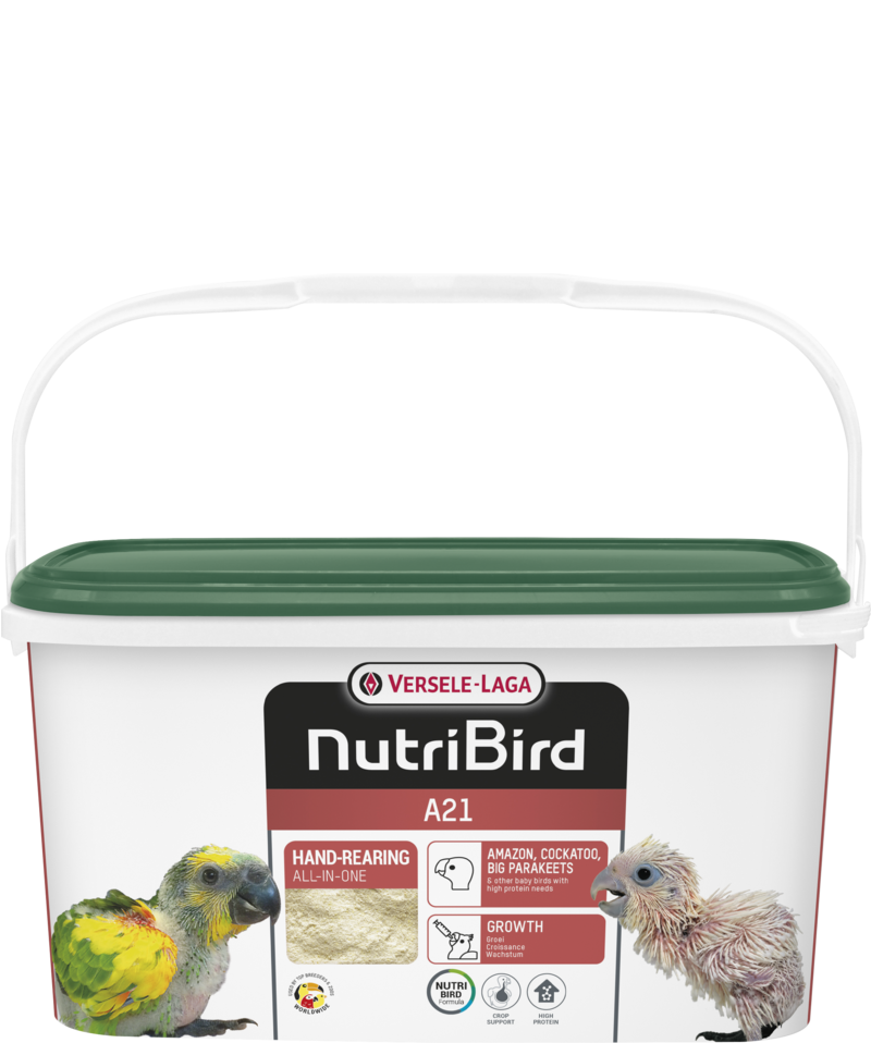 A21 - Hand rearing food for amazons, cockatoos, large parakeets and other baby birds with a high protein requirement - 3kg