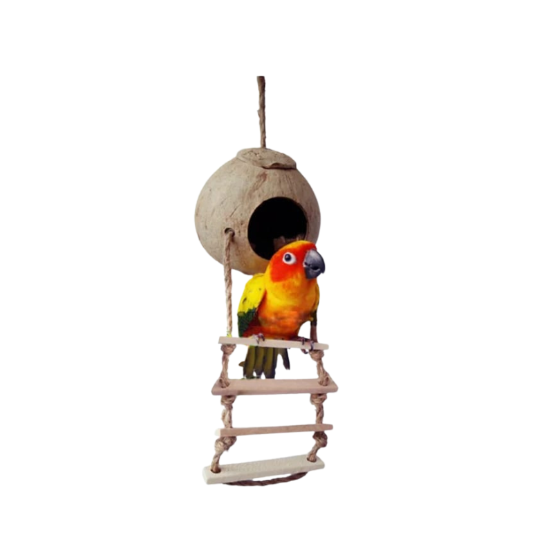 Coconut Shell Bird Nest