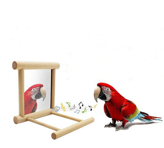 Mirror Bird Toy 10X10 Cm