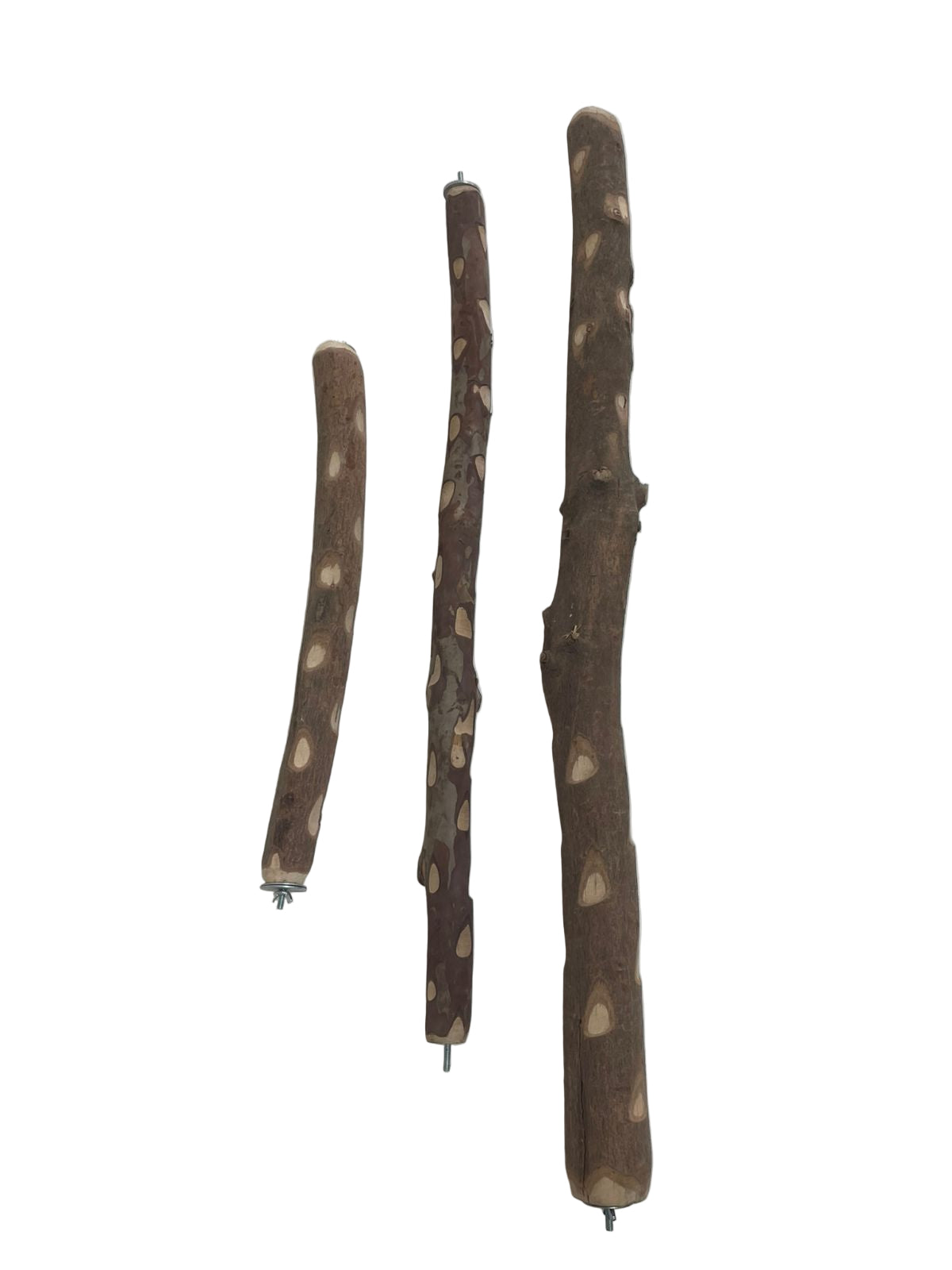 Guava Wood Stick 1 meter