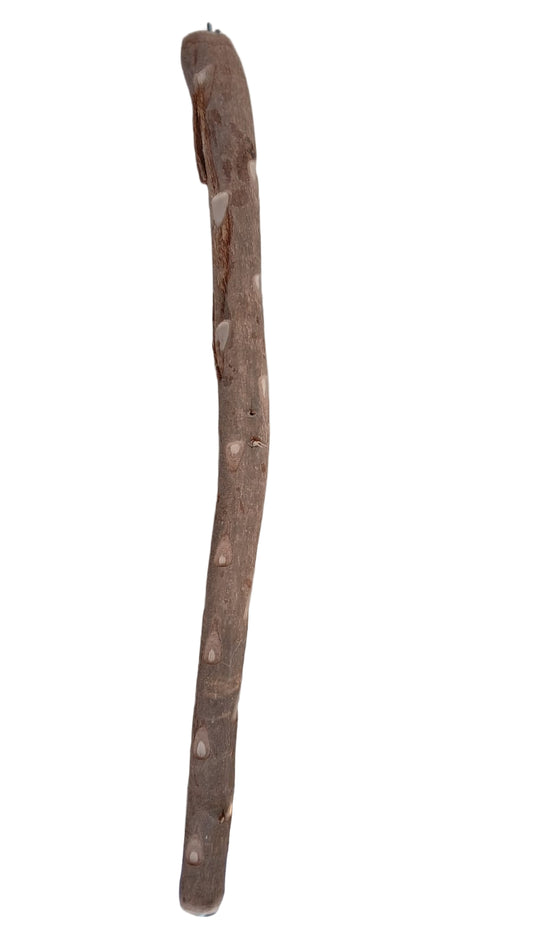Guava Wood Stick 1 meter