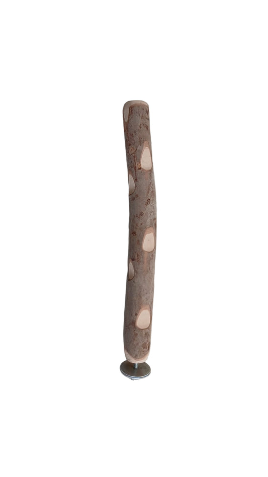 Guava Wood Stick 30 cm