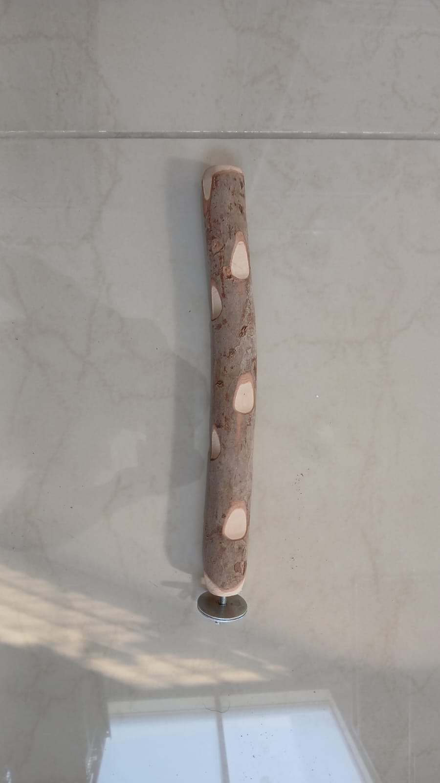 Guava Wood Stick 45cm