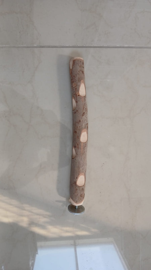 Guava Wood Stick 45cm