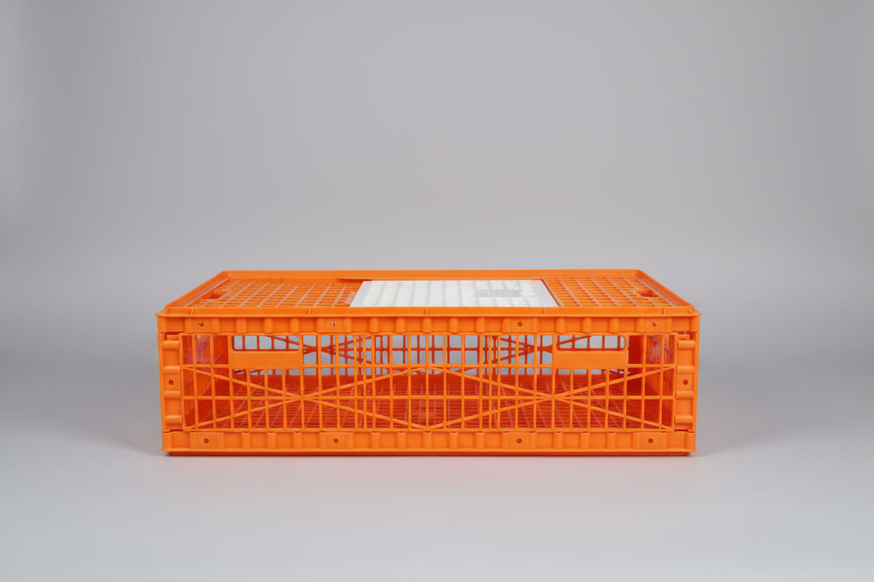 Chicken Cage