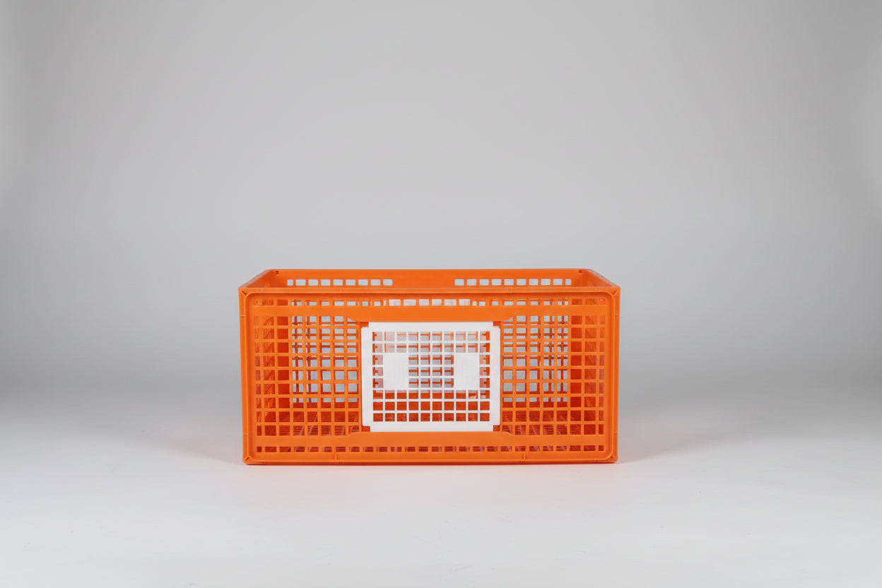 Chicken Cage