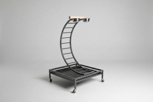 Half-Circle Ladder Steel Bird Stand Black