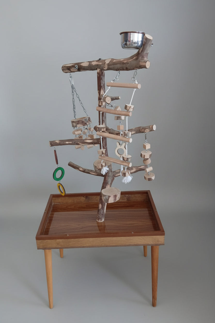 Natural Branch Tabletop Parrot Play Stand with Accessories (50x70)