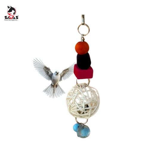 Bird Toy Food Colored & Ball 23cm